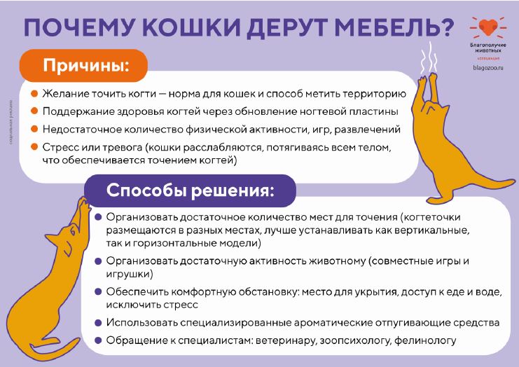 Ж 5.jpg