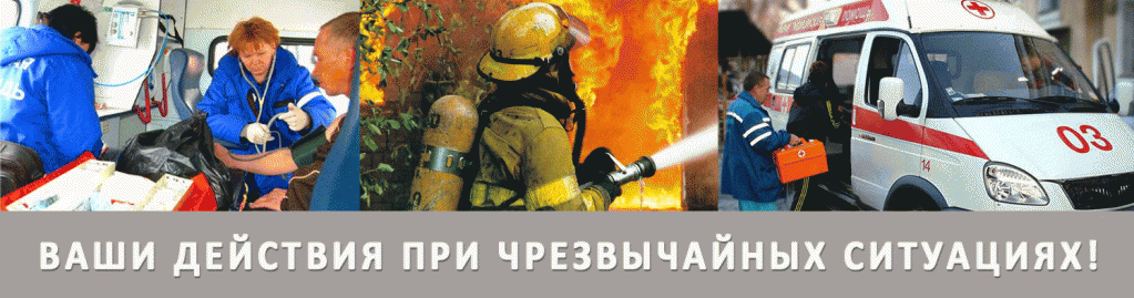 Ваши действия в чрезвычайных ситуациях Ваши действия в чрезвычайных ситуациях