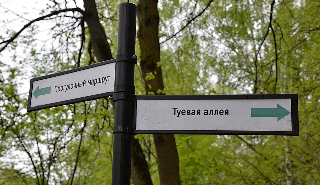 Экосистему Бирюлевского дендропарка рассмотрят специалисты в рамках семинара в МЗ «Царицыно»