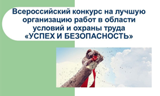 Всероссийский конкурс на лучшую организацию работ в области условий и охраны труда «Успех и безопасность - 2017»
