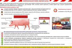 Памятка Африканская чума свиней