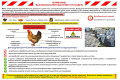 Памятка высокопатогенный грипп птиц