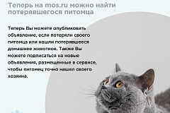 Поиск животных