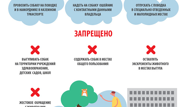 Памятка Правила содержания и выгула собак
