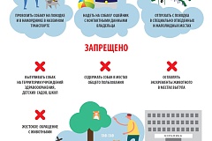 Памятка Правила содержания и выгула собак