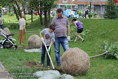 Семь дворов озеленят в районе Орехово-Борисово Северное