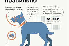 Правила содержания собак и кошек в г. Москва 
