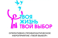 Профилактическое мероприятие "Твой выбор"