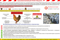 Высокопатогенный грипп птиц (ВГП)